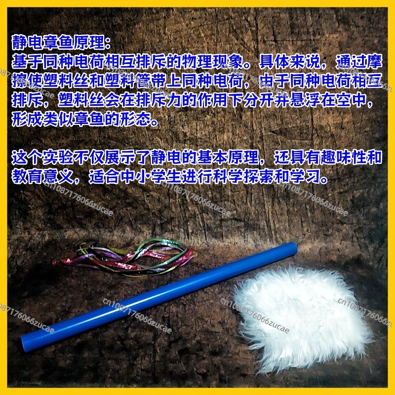 [정전기 문어] 재미있는 인기 과학 중학교 물리학 쇼  - Science Toys 리뷰 및 가격