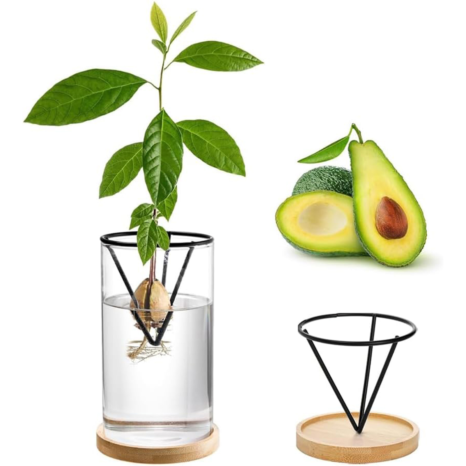 1 세트 아보카도 나무 성장 키트 삼각형 브래킷과 대나 - Crystal Growing Kit 리뷰 및 가격