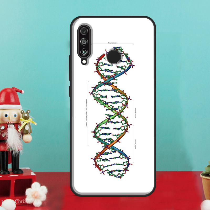 화웨이 노바 9 10 SE 12i 12s 11i 8i  - Science Nova 리뷰 및 가격