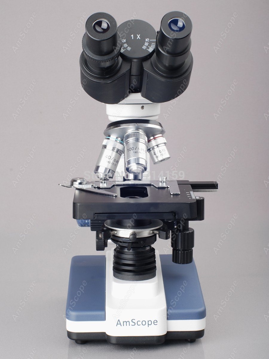 AmScope 학생 및 전문가용 LED 쌍안 복합 현미 - Amscope Microscope Compound 40X-1000X 리뷰 및 가격
