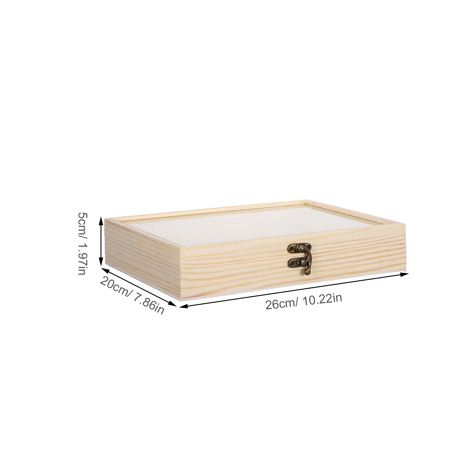 단단한 나무 곤충 표본 전시 상자 26x20cm 학교  - Science Project 리뷰 및 가격