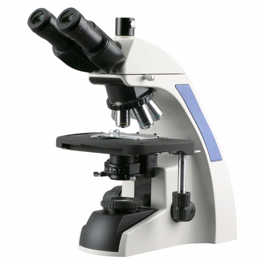 AmScope T720 시리즈 무한대 보정 삼안 복합  - Amscope Microscope Compound 40X-1000X 리뷰 및 가격