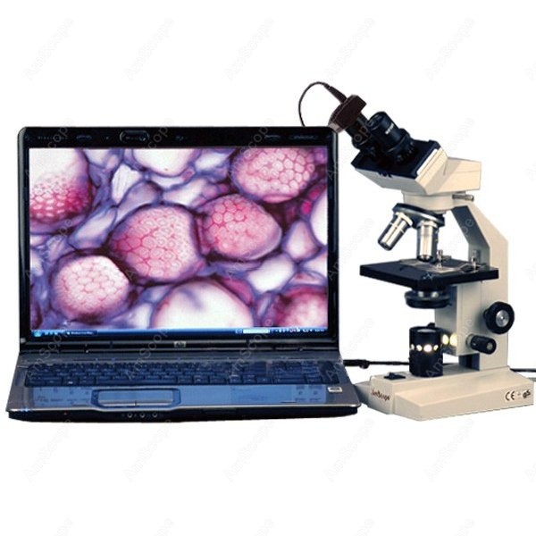 AmScope B100 시리즈 생물학적 쌍안 복합 현미 - Amscope Microscope Compound 40X-1000X 리뷰 및 가격