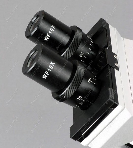 AmScope B100 시리즈 생물학적 쌍안 복합 현미 - Amscope Microscope Compound 40X-1000X 리뷰 및 가격