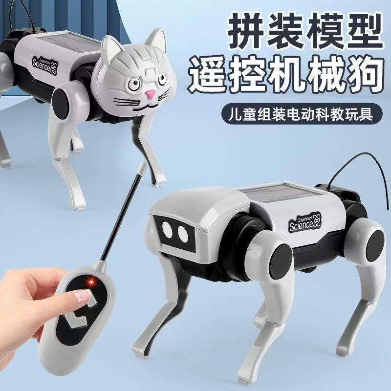 리모컨 조립식 걷는 로봇 고양이 과학 실험 키트 - 취 - Is Learning Science A Hobby 리뷰 및 가격